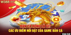Bắn Cá Rồng Là Gì? Những Ưu Điểm vượt trội Của Game Bắn Cá